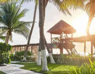 caribbean desire passion mexiko erotravel