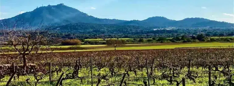 BDSM Finca auf Mallorca